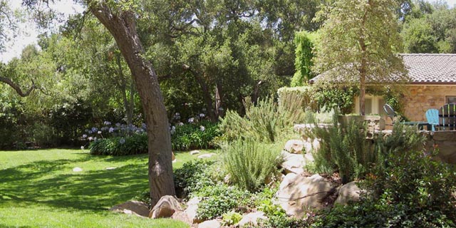 Another View of the back patio. 