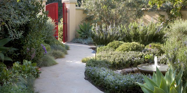 Courtyard Retreat