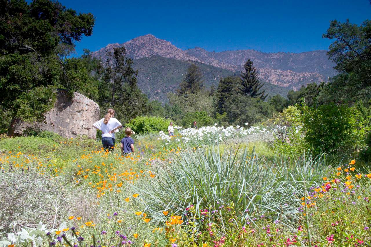 Santa Barbara Botanic Garden