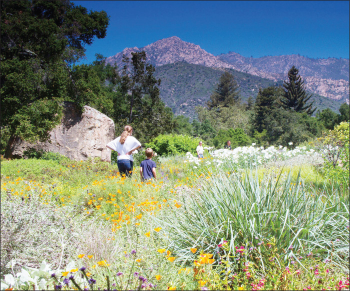 Spring Gardens in Santa barbara