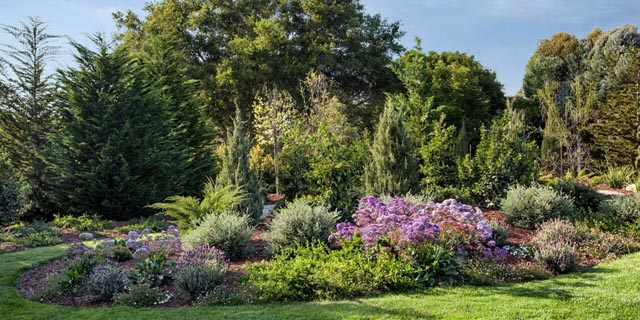 Garden Steps