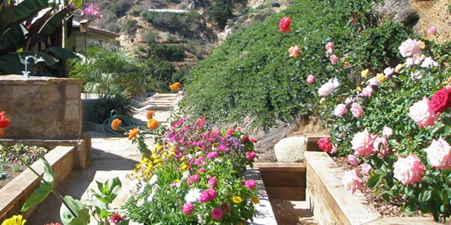 Raised planters and a terraced hillside