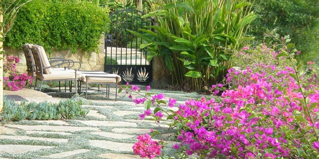 Rear Patio